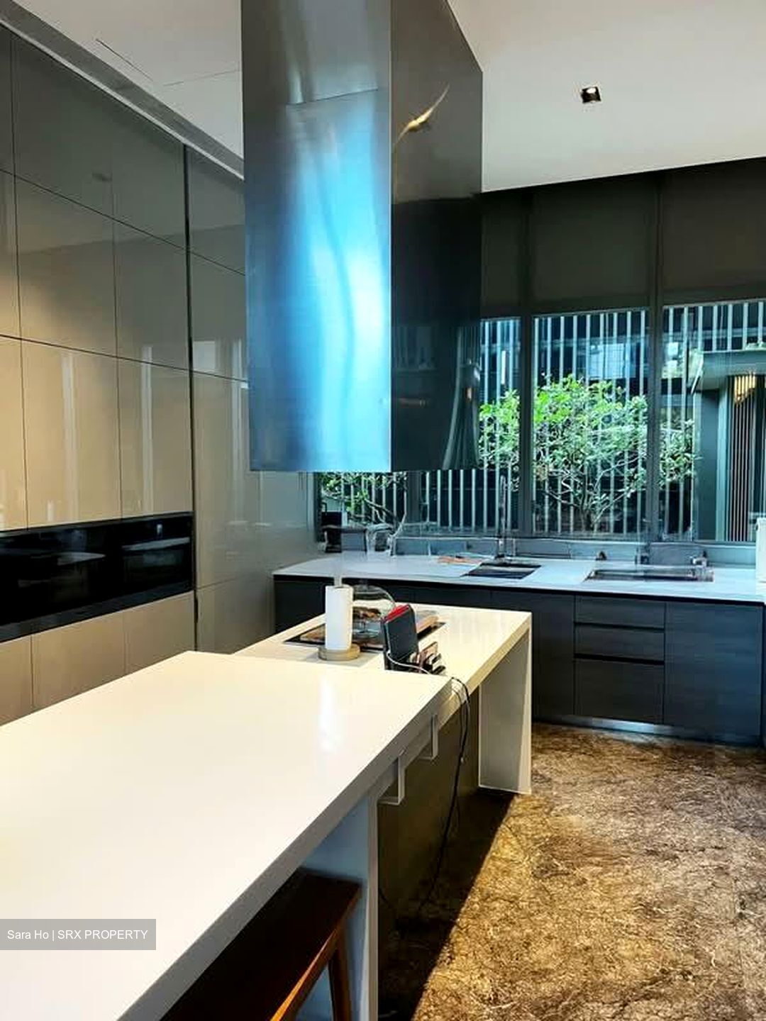 Leedon Residence (D10), Condominium #580661991